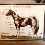 2019_OTRA_0631 (September 01, 2019)